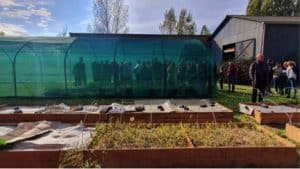 pépinière de Graines et Canopées