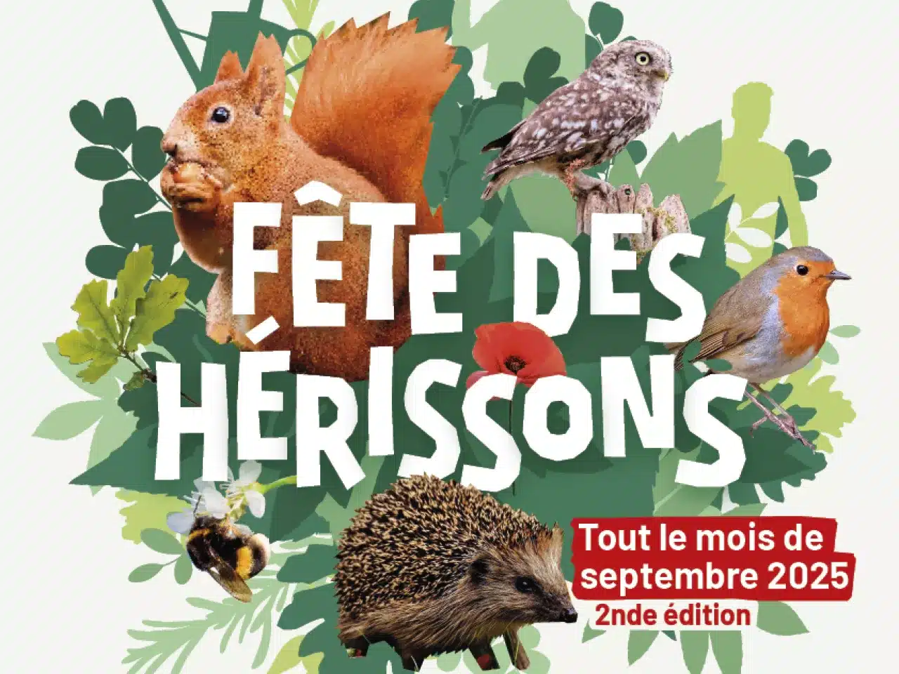 Un mois consacré à la Fête des Hérissons 2025