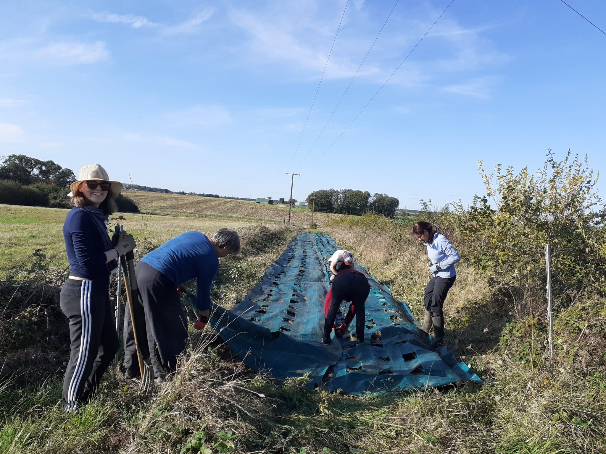 Chantier participatif messicoles