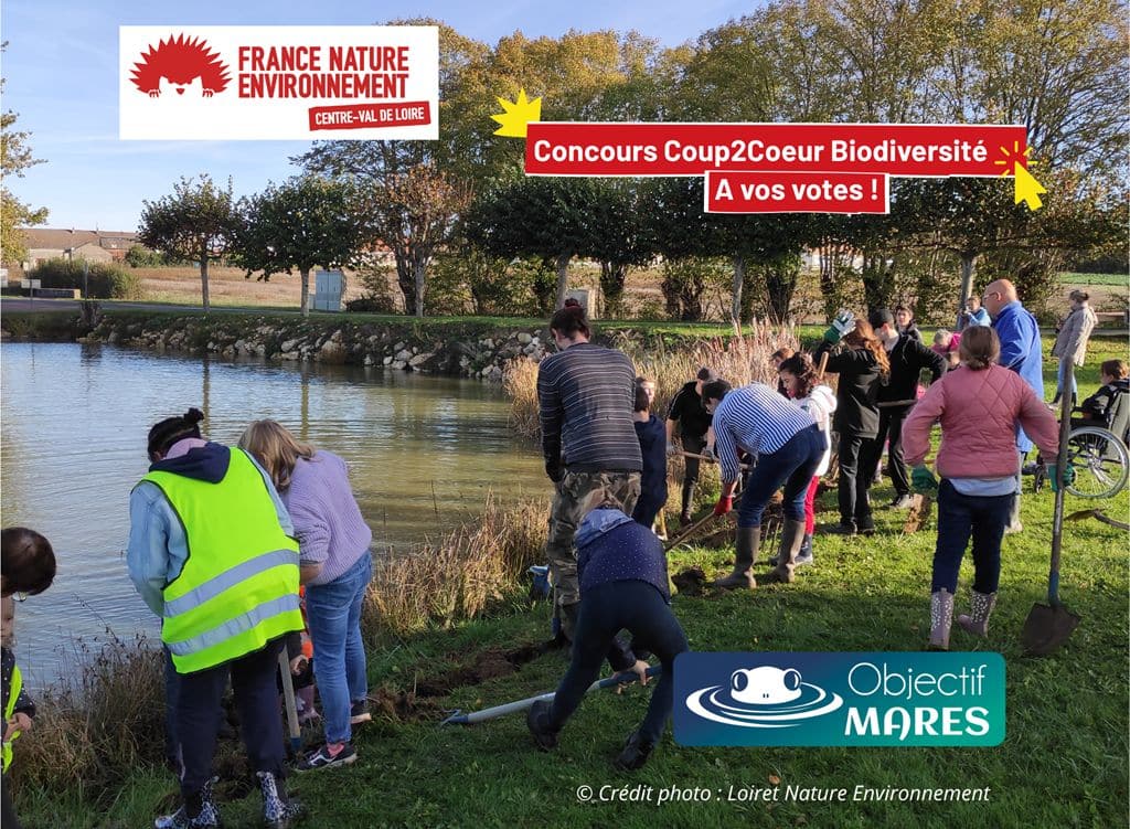 Soutenez le projet Objectif MARES – Votez au concours Coup2Cœur Biodiversité